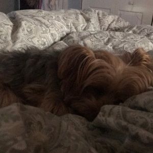 Meet your Posher, Lynda